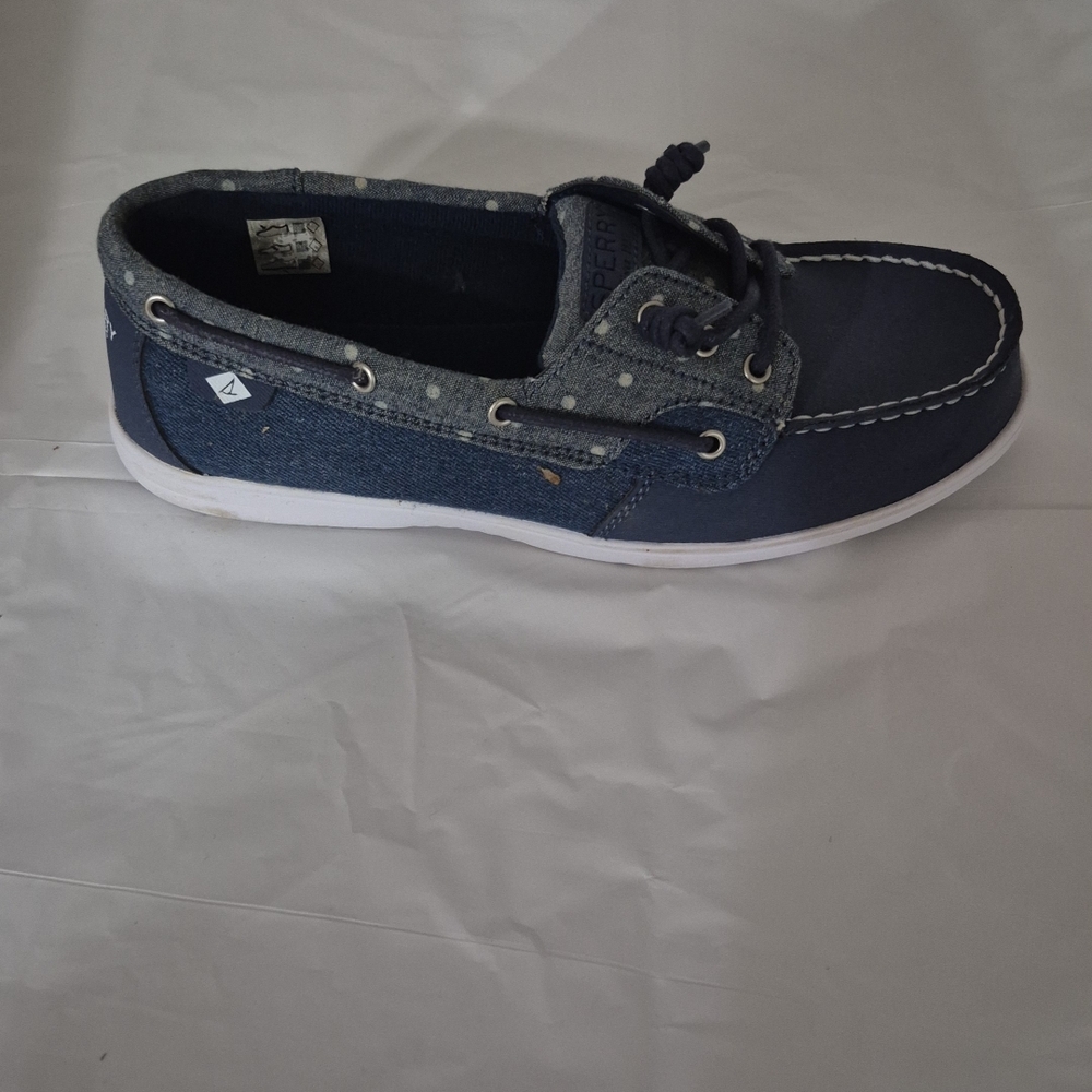 Sperry Men's Blue Boat Shoes